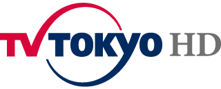 株式会社テレビ東京ホールディングス